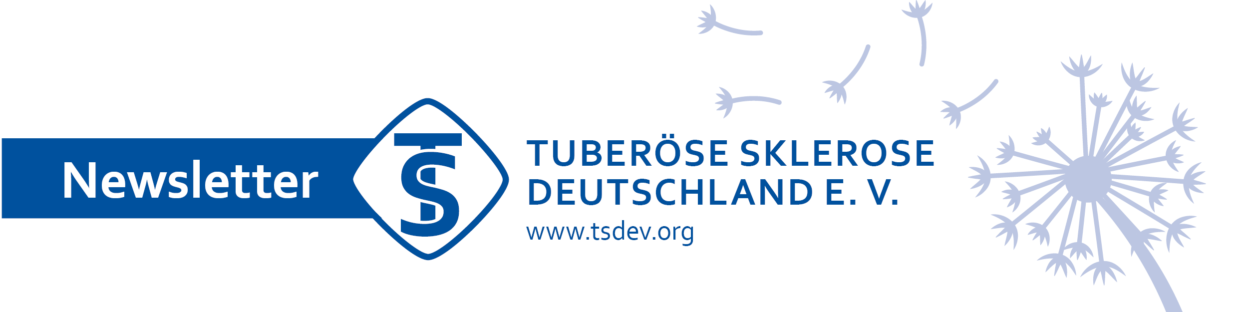 TSDEV-Logo