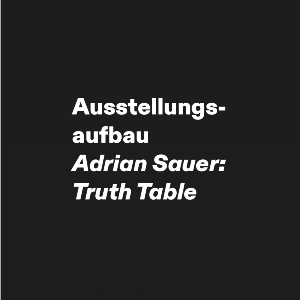 Bild für „Ausstellungsaufbau - Adrian Sauer: Truth Table“