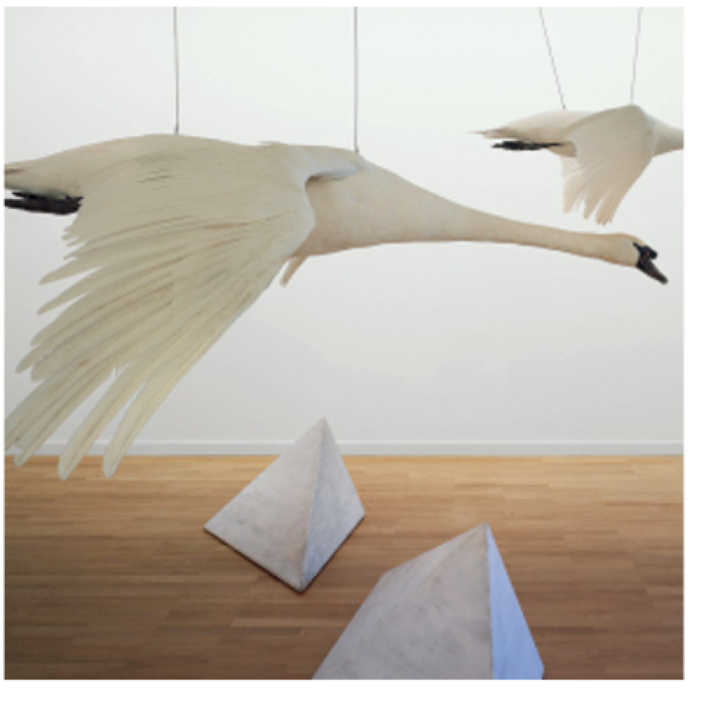 Bild für „Mein lieber Schwan - Ein Kunst-Abend“