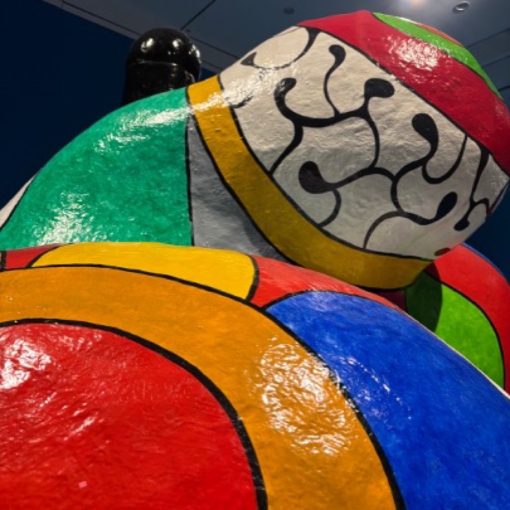 Bild für „Kuratorenführung III / IV: Niki. Kusama. Murakami.“