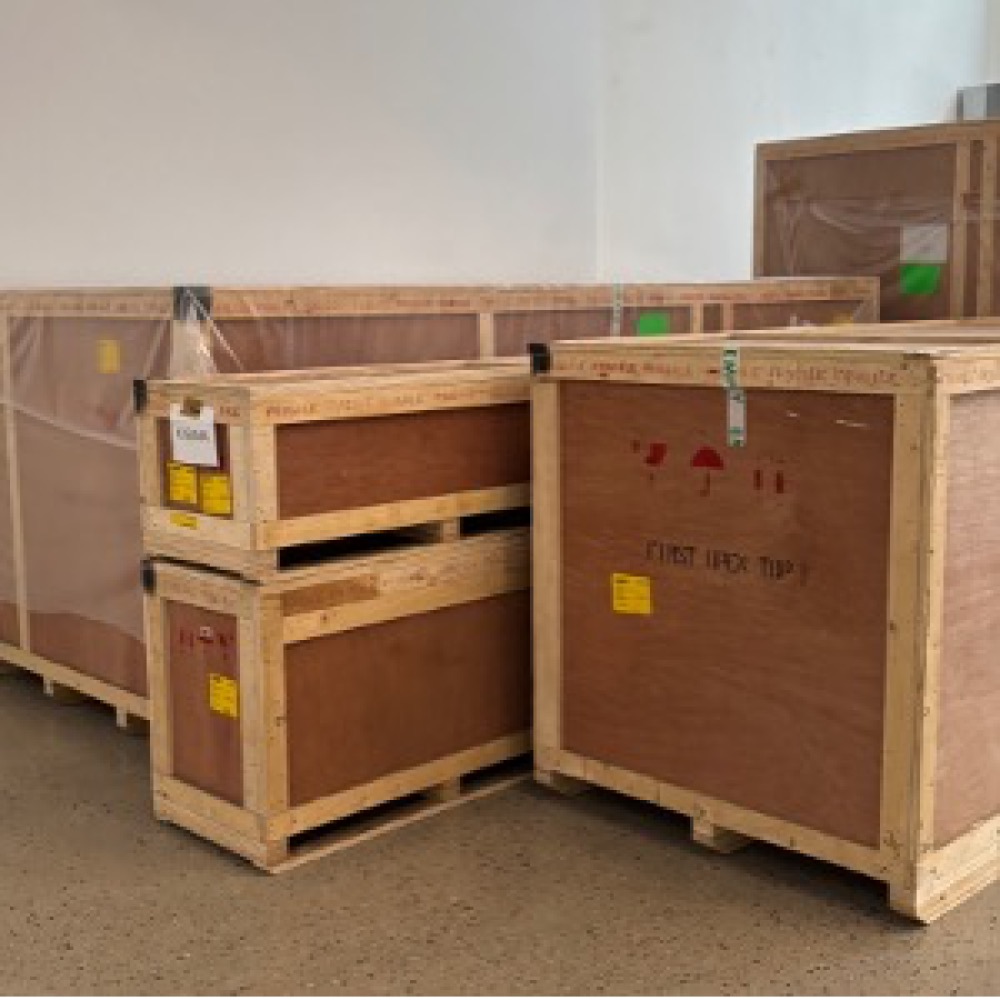 Bild für „Exklusiver Sneak Peek: Mein lieber Schwan“